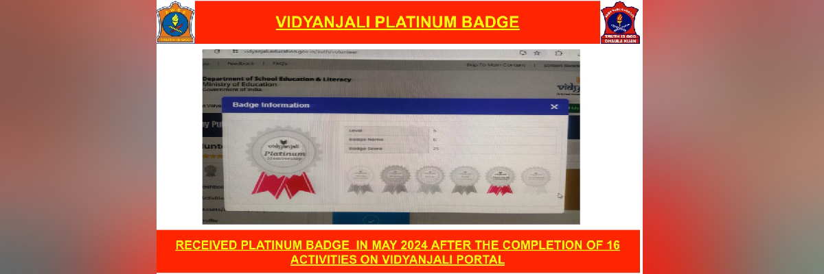 Vidyanjali Platinum Badge